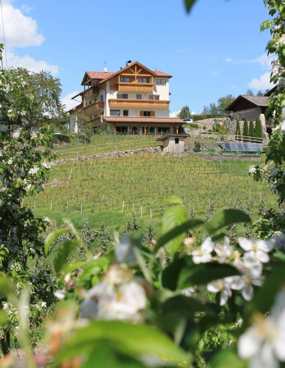 Trinnerhof- Hof Chalets Und Obsthof Mit Zimmer Natz-Schabs Екстер'єр фото